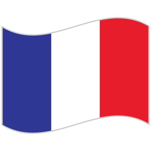 bandera (1)